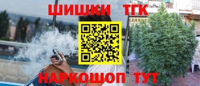 ECSTASY Камышлов