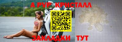 ECSTASY Камышлов