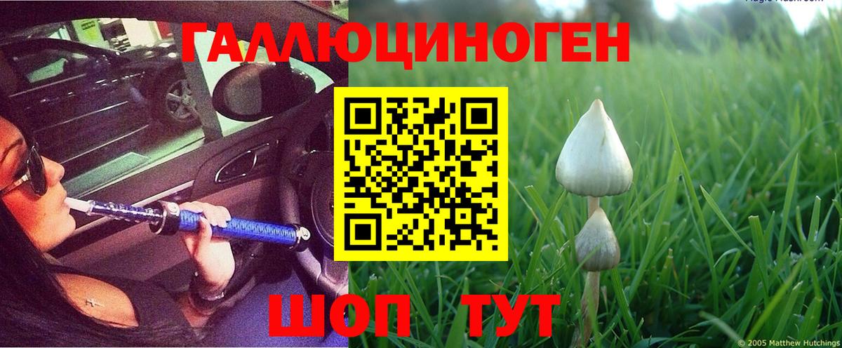 Кудымкар  Галлюциногенные грибы мухоморы  Галлюциногенные грибы Psilocybe  Вход с VPN 